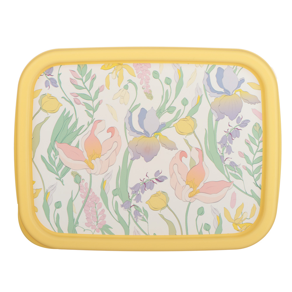 Ботаника Контейнер для продуктов прямоугольный 0,85л, пластик, 3 цвета - #7