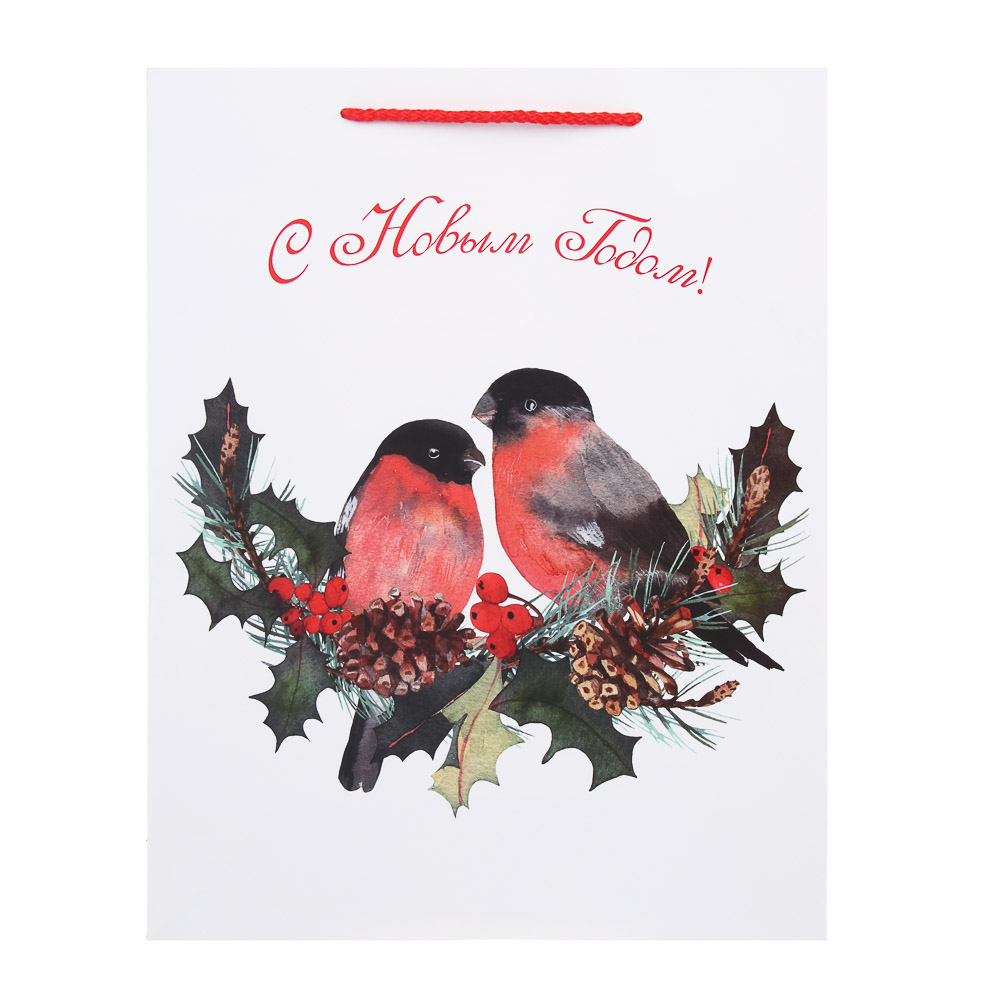 Пакет тм СНОУ БУМ подарочный, 26x32x10см, бумага, арт.29, 3 дизайна - #4