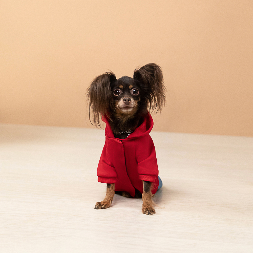 VETTA Толстовка для домашних животных с рисунком, хлопок, ПЭ, р. M - #19