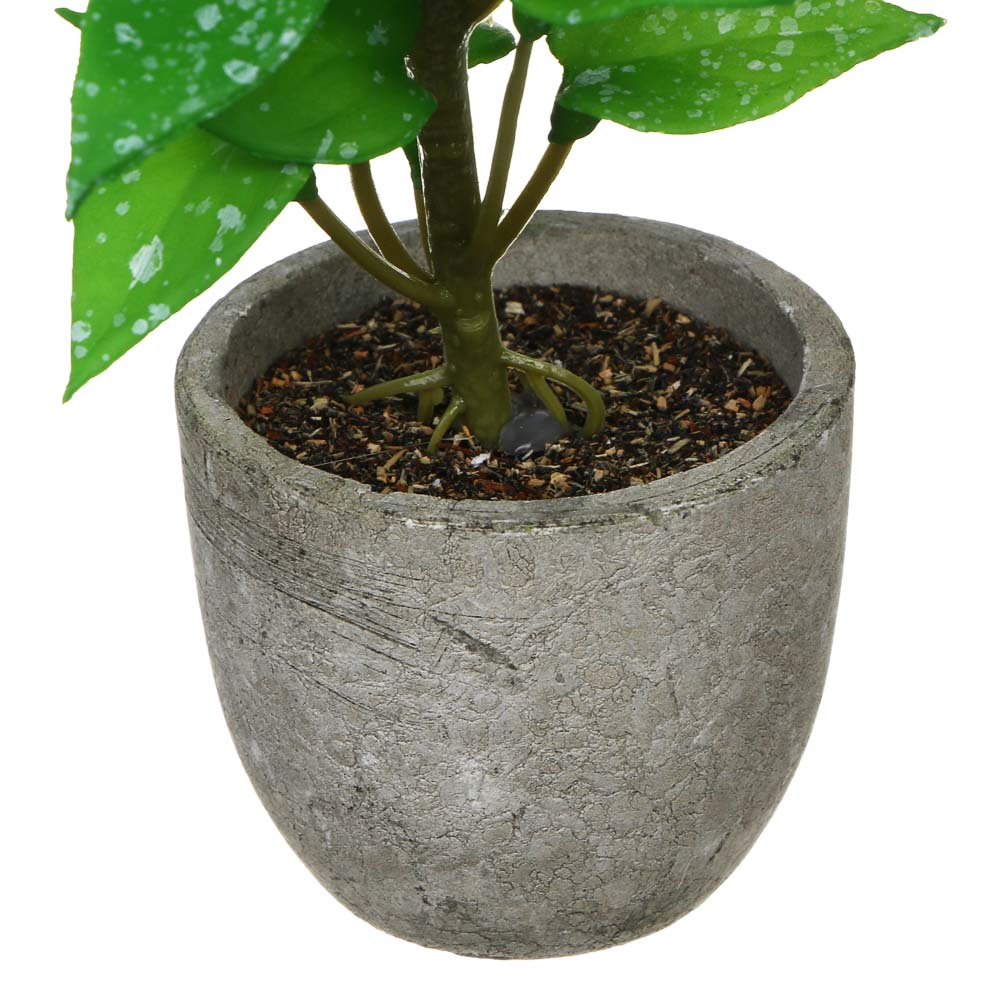 LADECOR Цветок искусственный в кашпо, 6х15 см, целлюлоза, PU, пластик, 2 дизайна - #5