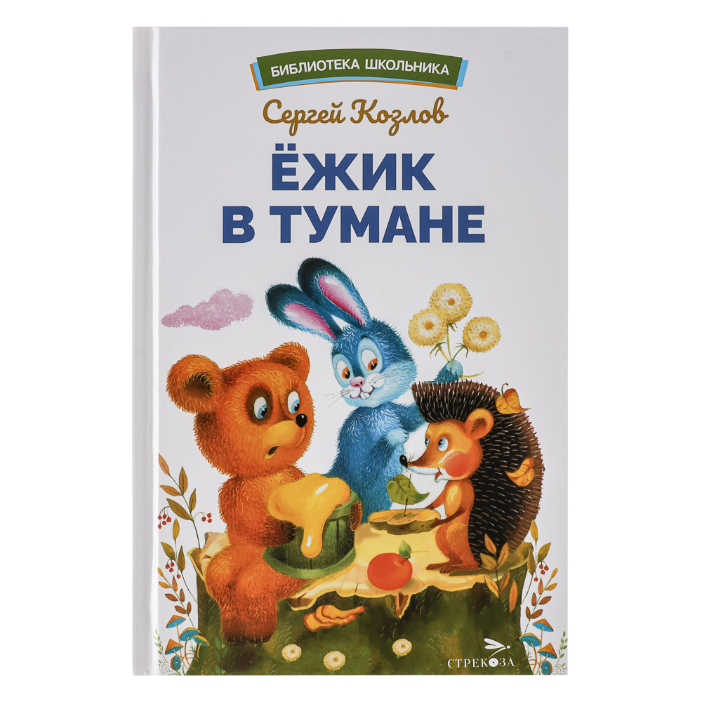 Книжка "Библиотека школьника", твердый переплет, 22х15см, 64 стр., 4 дизайна - #5