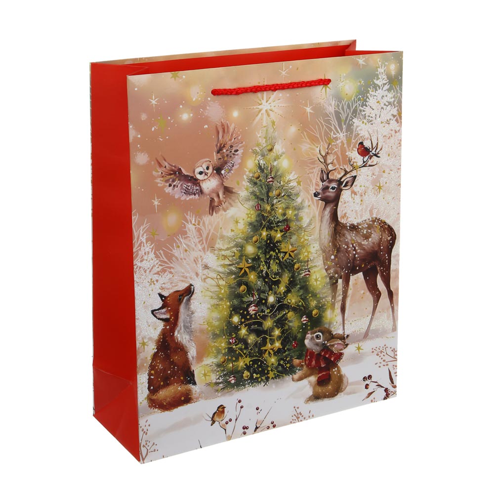 Пакет тм СНОУ БУМ подарочный, 26x32x10см, бумага, 4 дизайна - #2