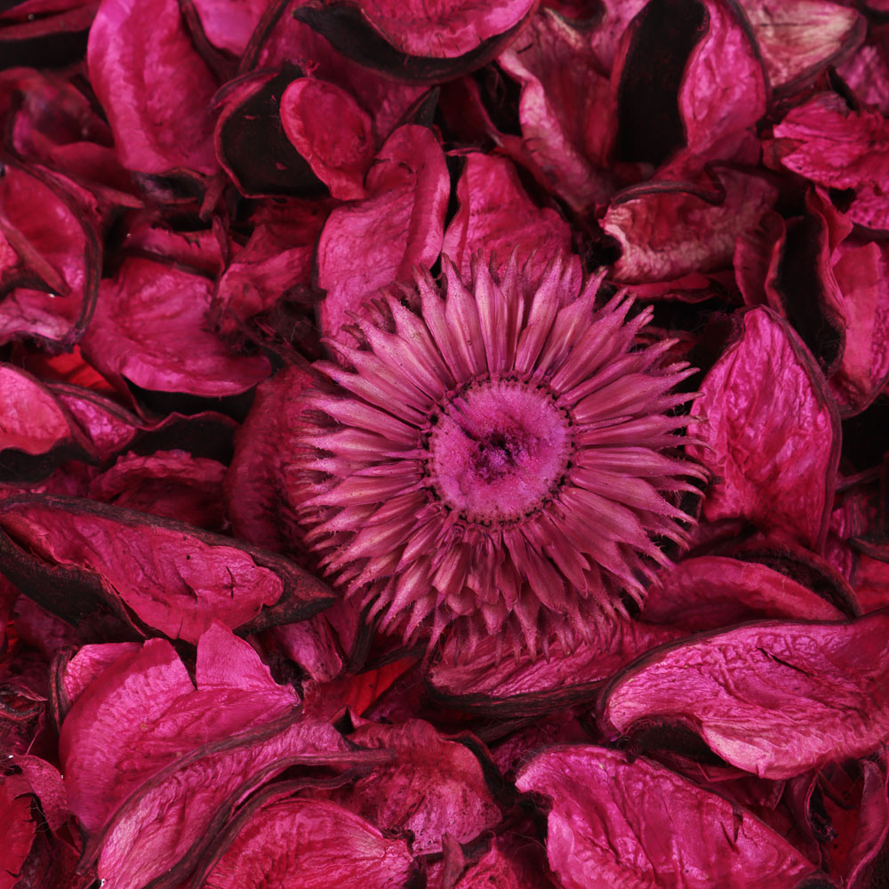 NEW GALAXY Ароматизатор Попурри, ваниль, магический сад, очарование розы - #4