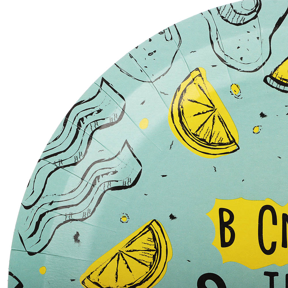 Набор бумажных одноразовых тарелок 6 шт, 23 см, в ассортименте - #4