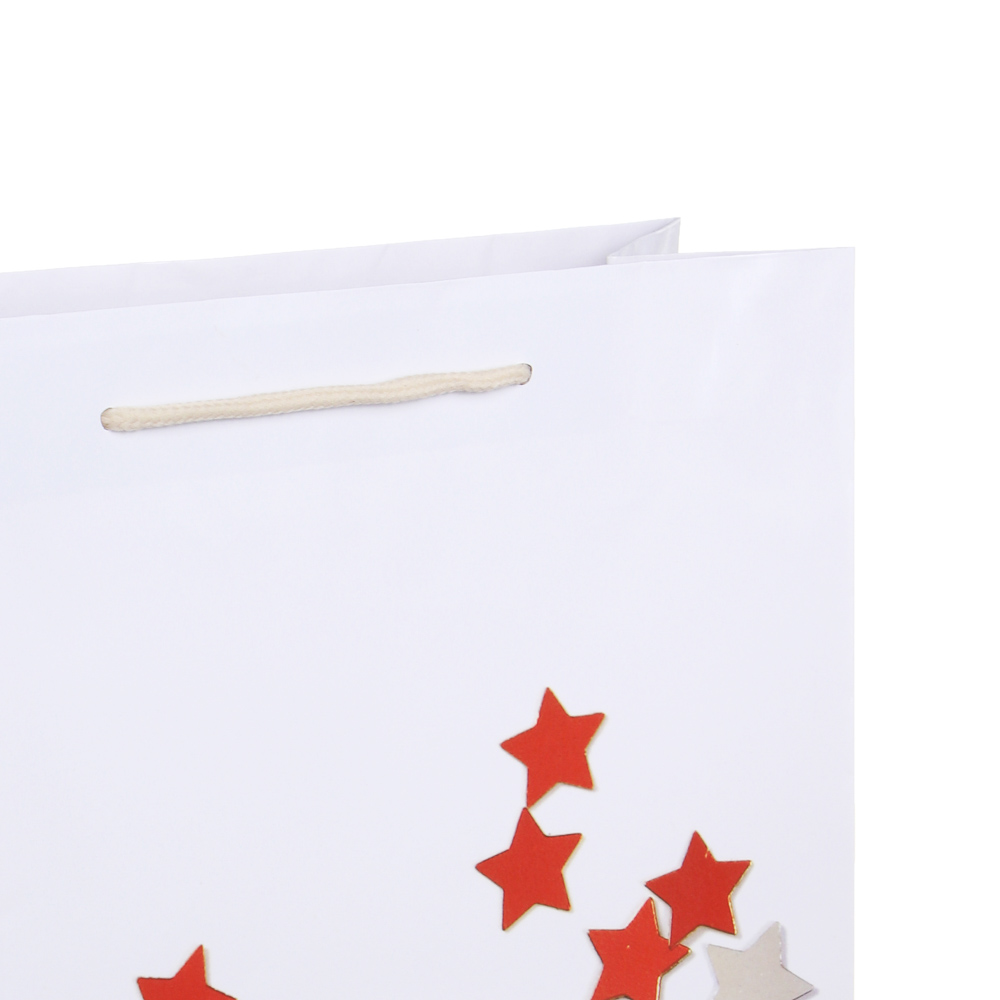 Пакет подарочный бумажный тм LADECOR, L 26x32x10 см, 4 цвета, звезды - #3