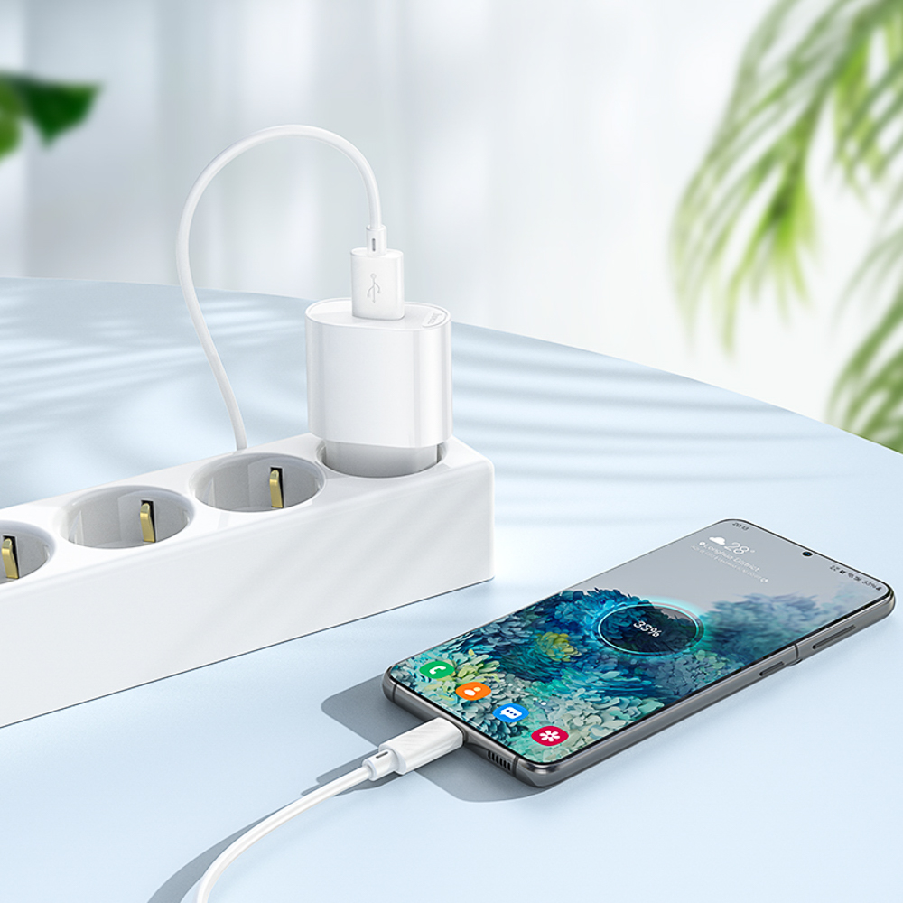 hoco. Зарядное устройство модель C109A, USB-A 10.5W, цвет: белый - #8