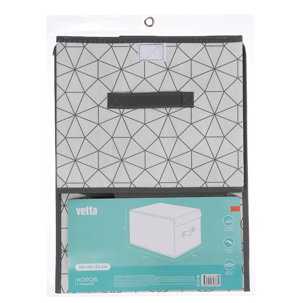 VETTA Короб с крышкой, 30х40х25см, Валери, полипропилен - #8