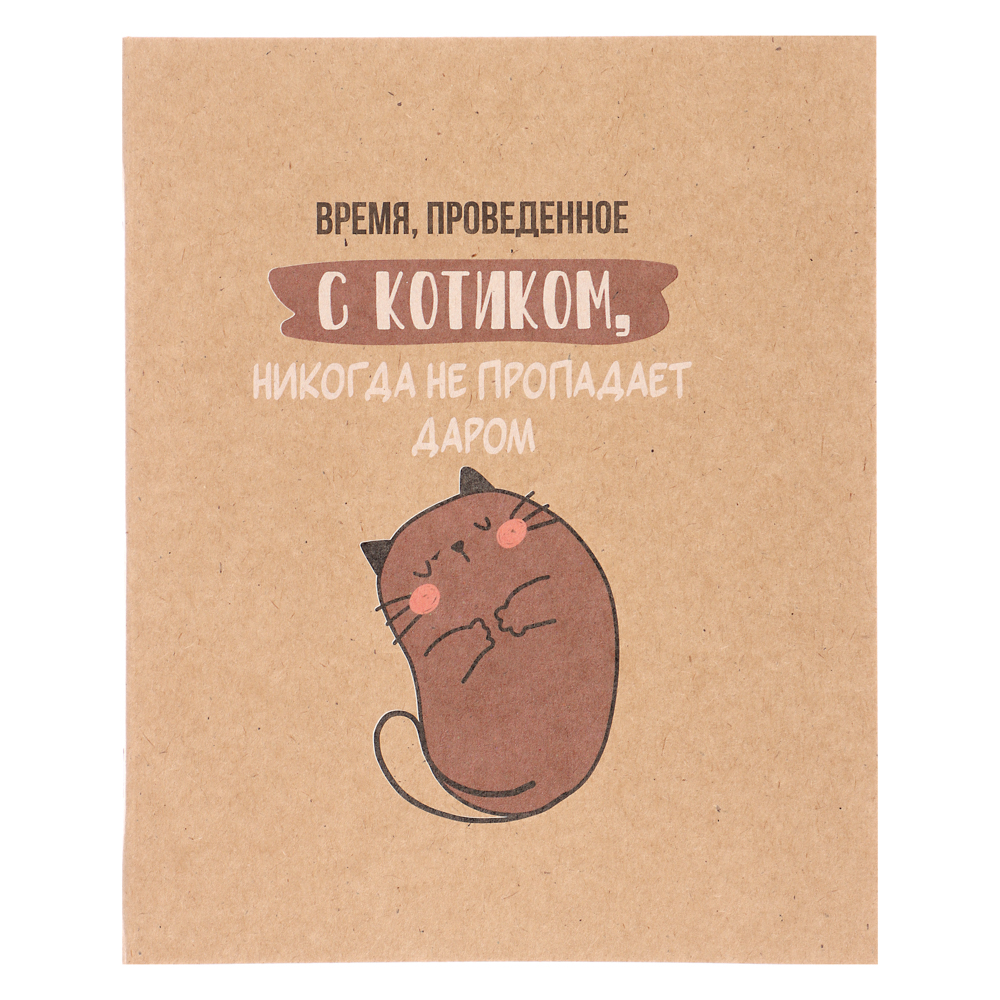 ClipStudio Тетрадь 48л. в клетку, офсет, обл. мел.картон, скрепка, крафт, 4 диз. - #2