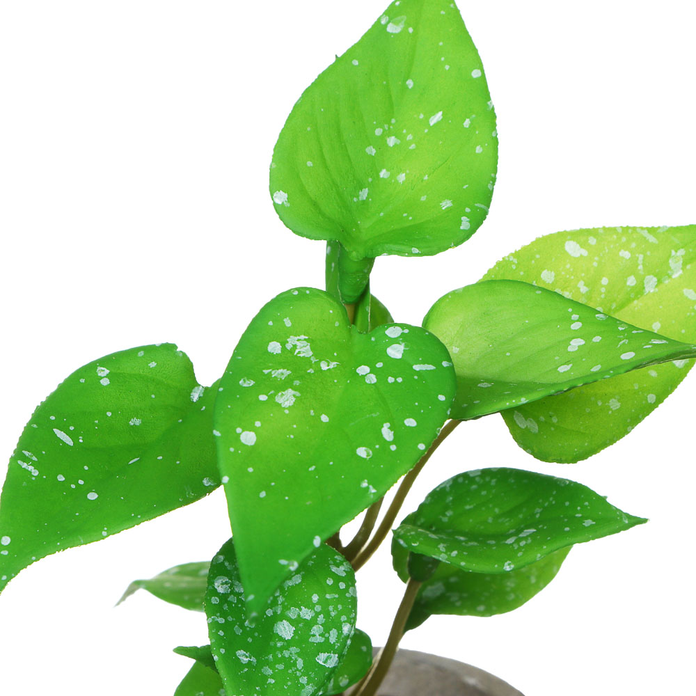 LADECOR Цветок искусственный в кашпо, 6х15 см, целлюлоза, PU, пластик, 2 дизайна - #4