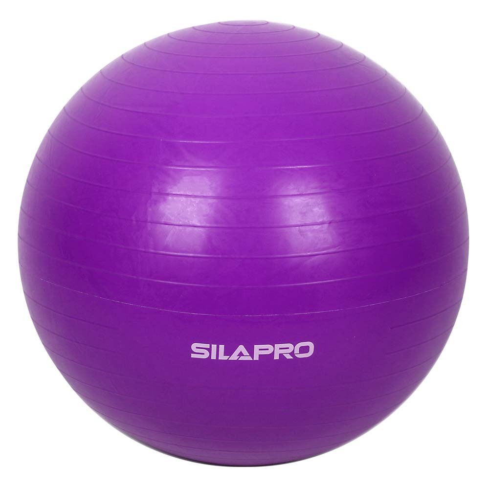 Мяч для фитнеса SilaPro, d=65 см - #6