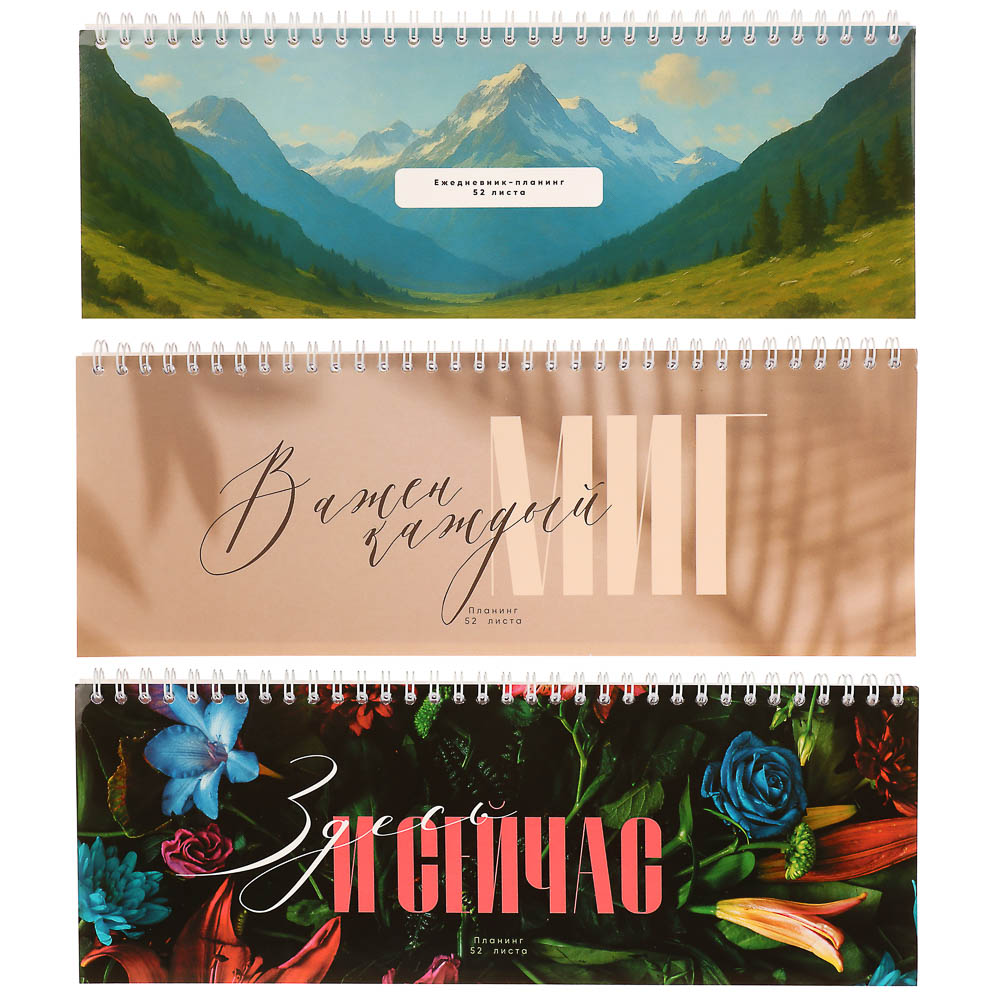 Планинг недатированный на гребне ClipStudio, размер 285х100, 52 листа - #1