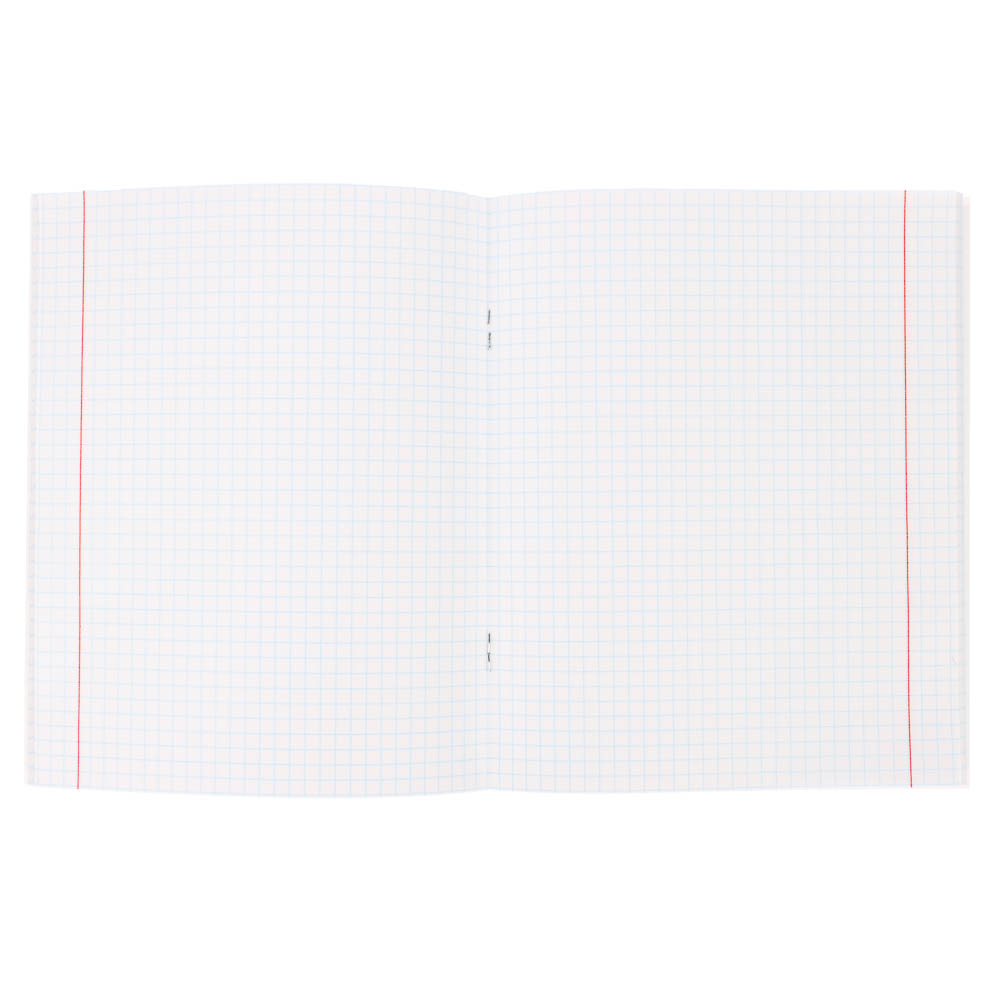 Тетрадь 48л. в клетку, офсет, обл. мел.картон, скрепка, ВД-лак, микс - #5