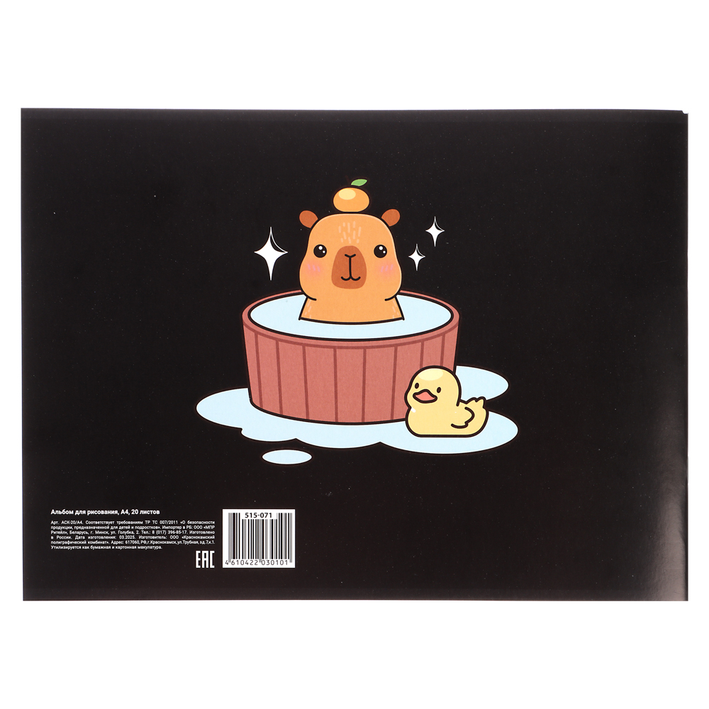 Альбом для рисования A4 20л., офсет 90г/м2, обл. картон, скрепка, "Микс коллекций 1" 4 дизайна - #5