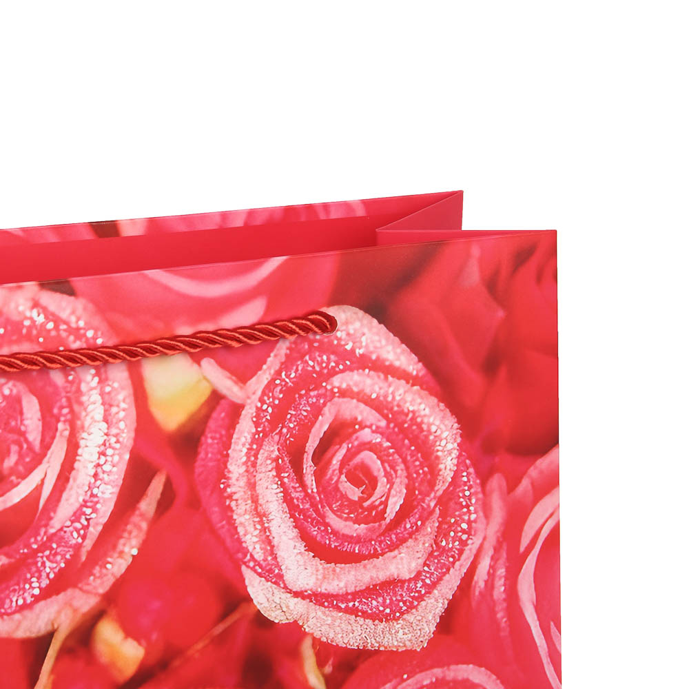 Пакет подарочный бумажный тм LADECOR, L 26x32x10 см, "Цветы" арт 1, 6 дизайнов - #3