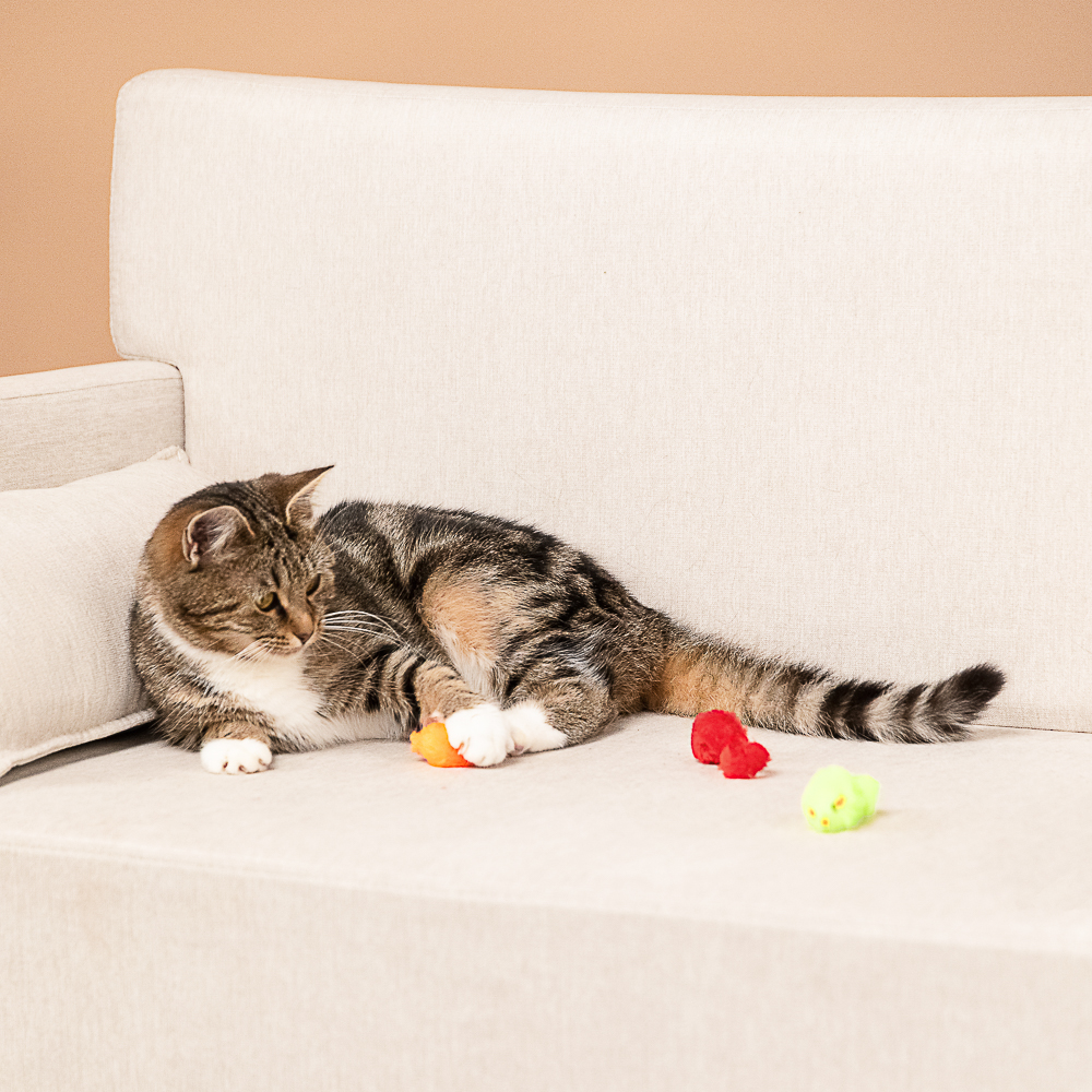 VETTA Игрушки для домашних животных, набор, 3 шт, ПЭ, 4,5 см - #14