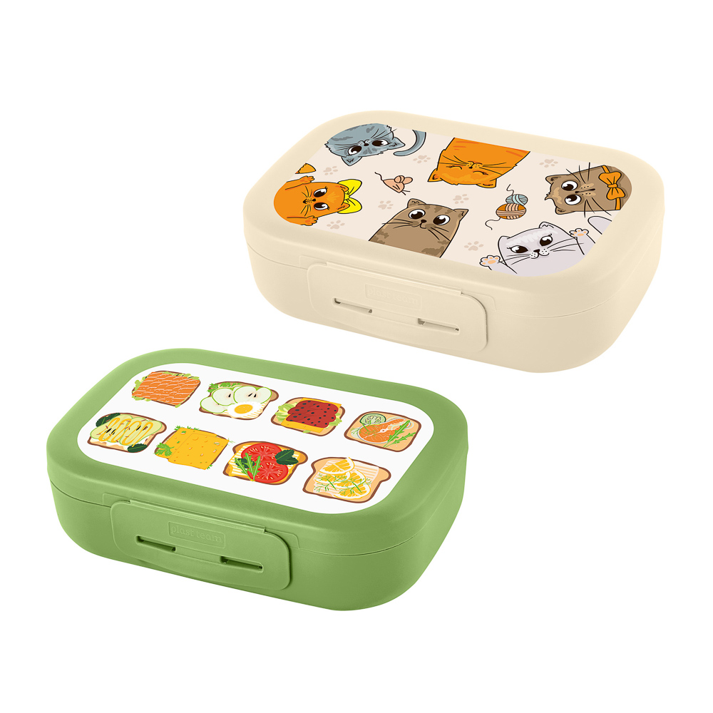 Ланч-бокс 0,8л (17,9х12,8х5,2см), пластик, в ассортименте - #1