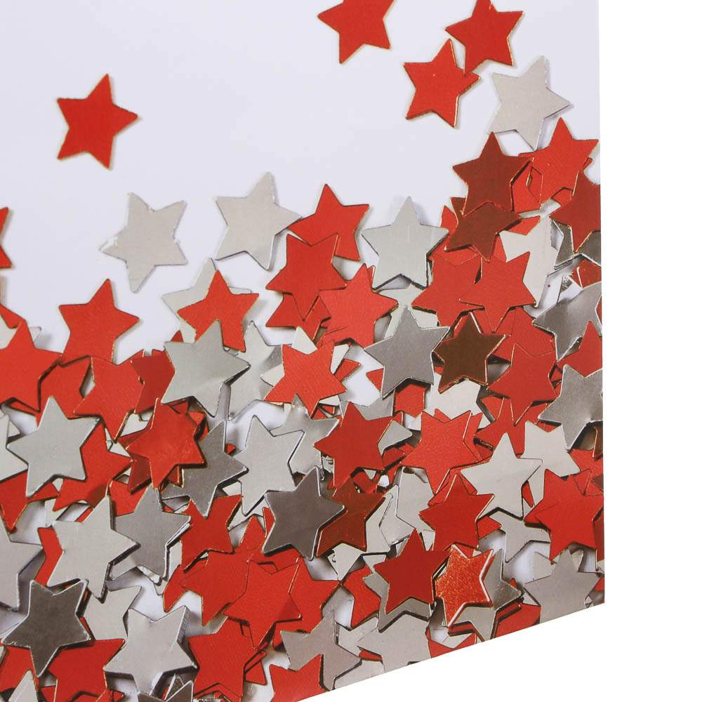 Пакет подарочный бумажный тм LADECOR, L 26x32x10 см, 4 цвета, звезды - #4