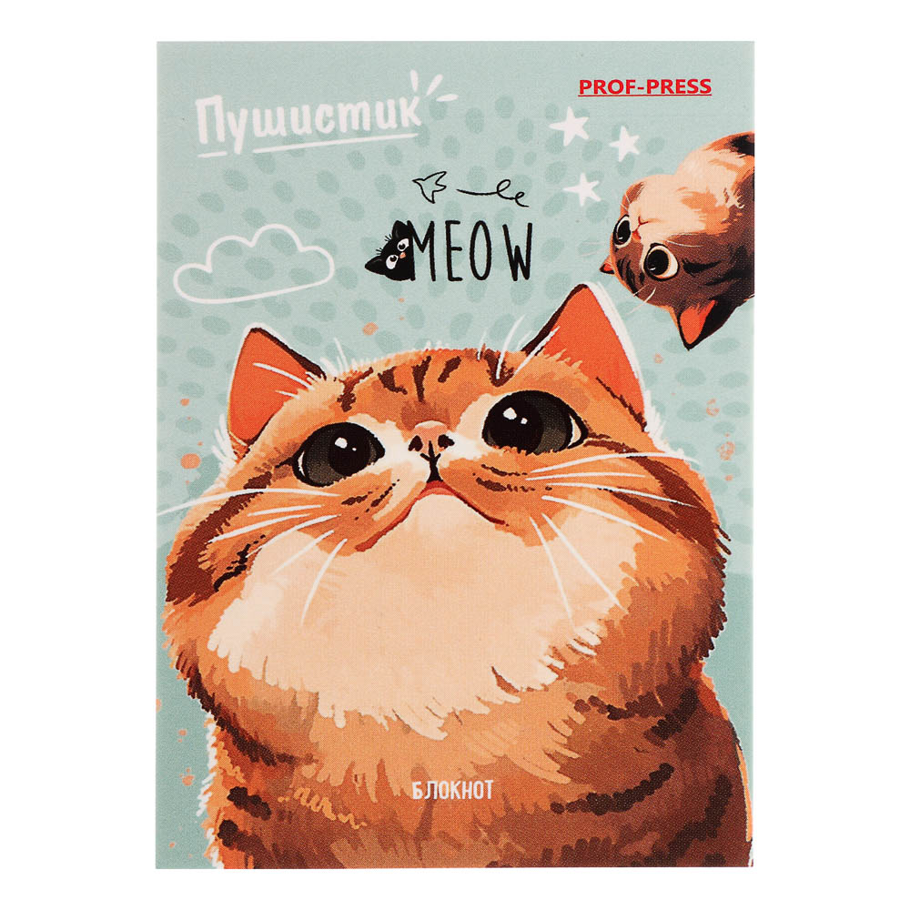 Блокнот А7, 48л, офсет, обложка картон, склейка, в ассортименте - #27