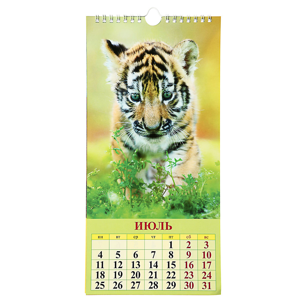 Календарь настенный перекидной на ригеле "Символ Года 2022", бумага, 16,5х34см, 2022 - #2
