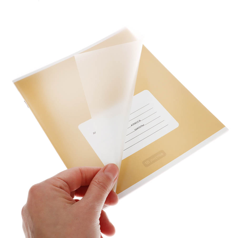 Тетрадь школьная 18л. в клетку ClipStudio, БЕЛЫЕ ЛИСТЫ, обл. пластик, скрепка - #13