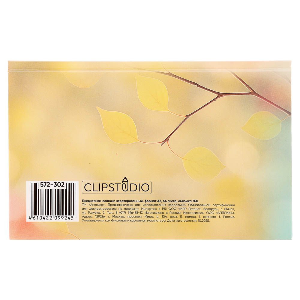 Ежедневник-планинг недатированный ClipStudio, формат А6, 64 листа, обложка 7БЦ - #9