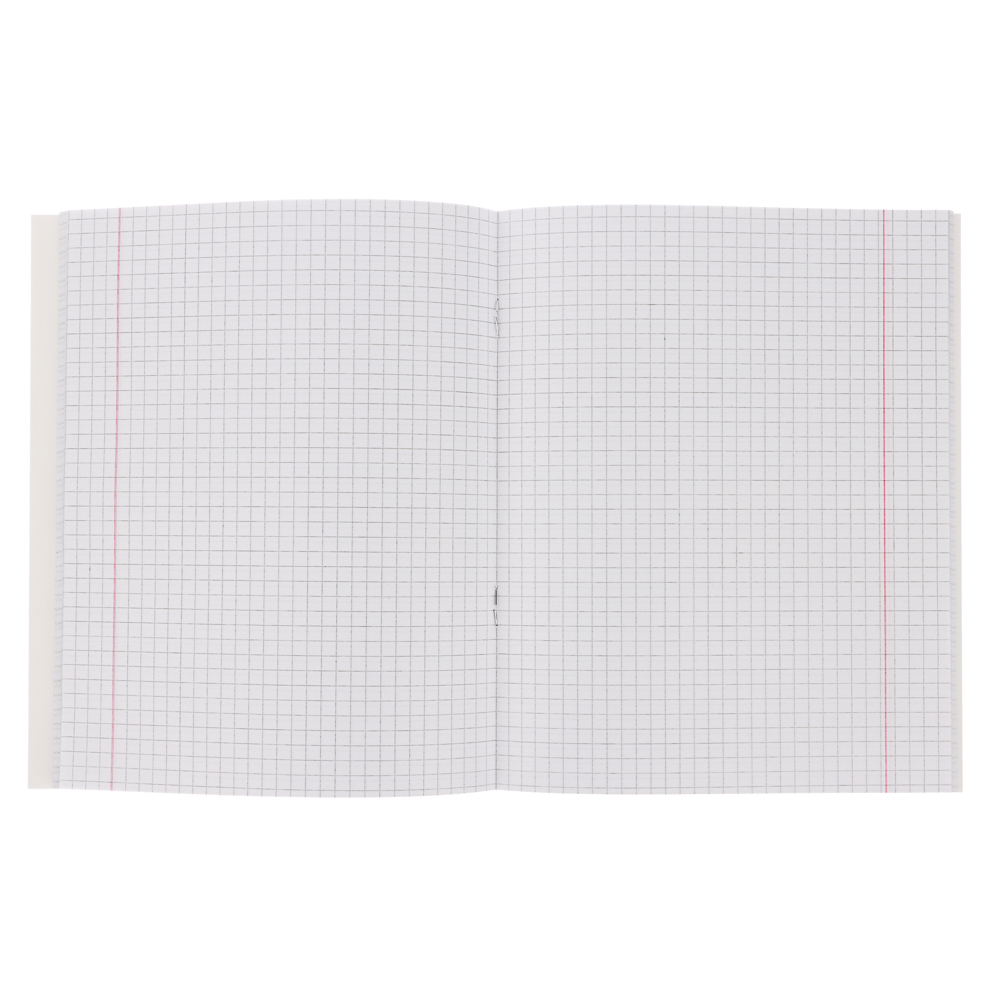 ClipStudio Тетрадь 48л. "Предметная", БЕЛЫЕ ЛИСТЫ, обл.картон, скрепка, 7 видов, справ.мат-л - #19