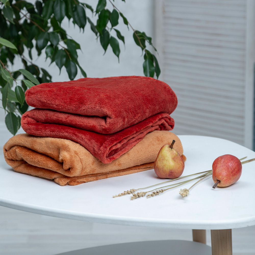 PROVANCE Плед, микрофибра, 130х150см, 180гр/м, "Уют", 2 цвета - #8