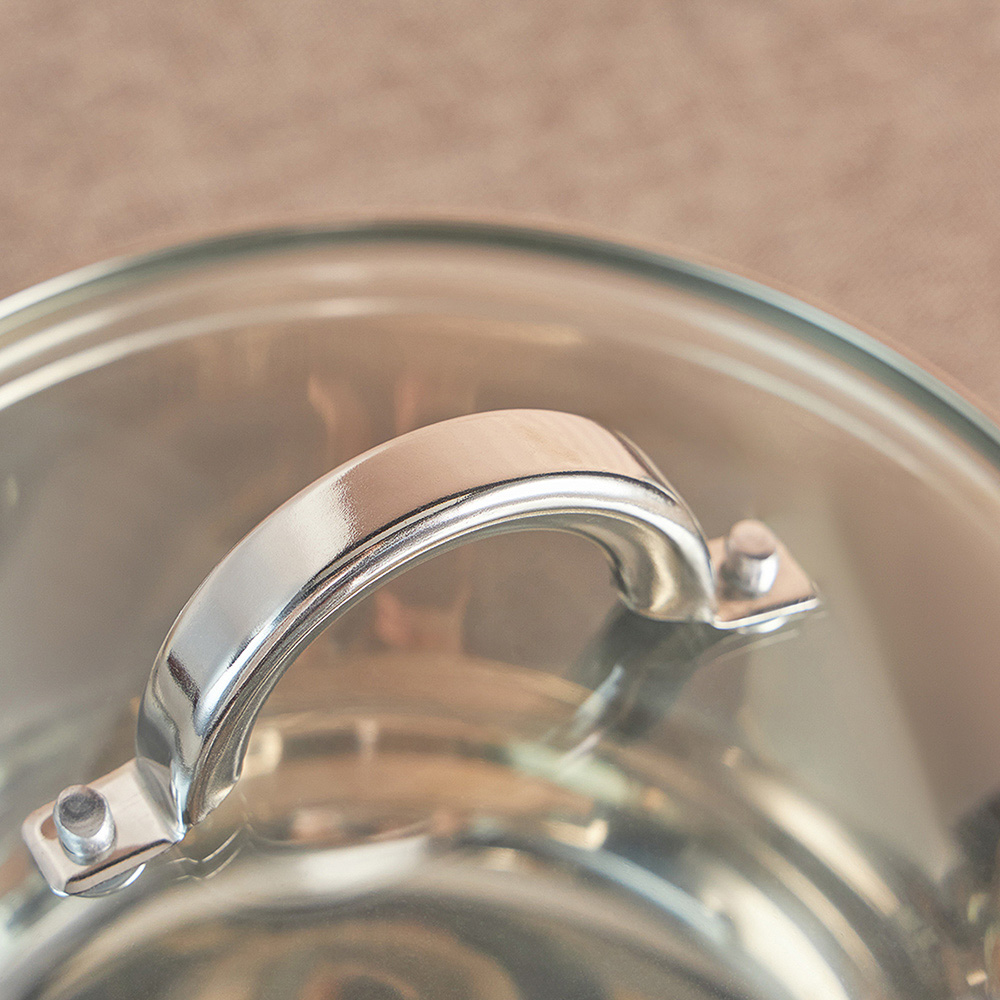 VETTA Фултон Кастрюля 22х12,5см, 4,0л, со стекл. крышкой, индукция - #8