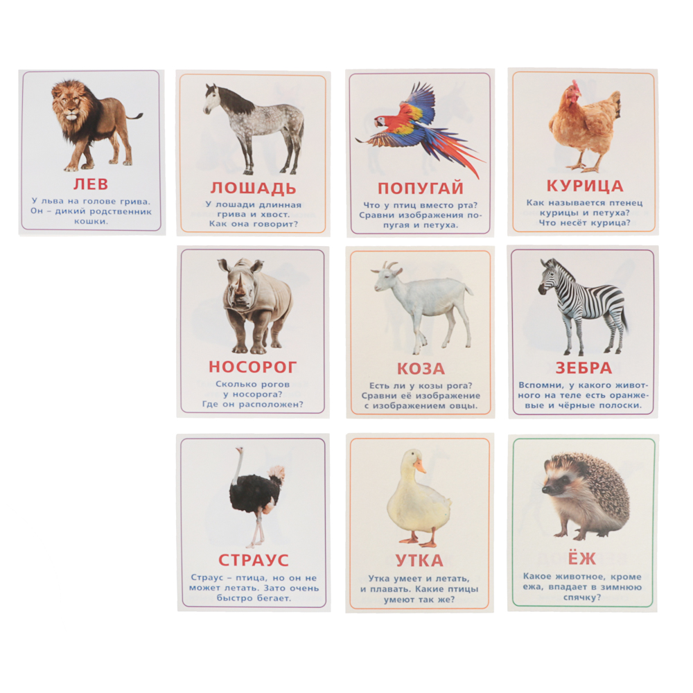 УМКА Развивающие карточки "IQ чемоданчик", 30 шт, 20,5х19,0х4см, 2 дизайна - #4