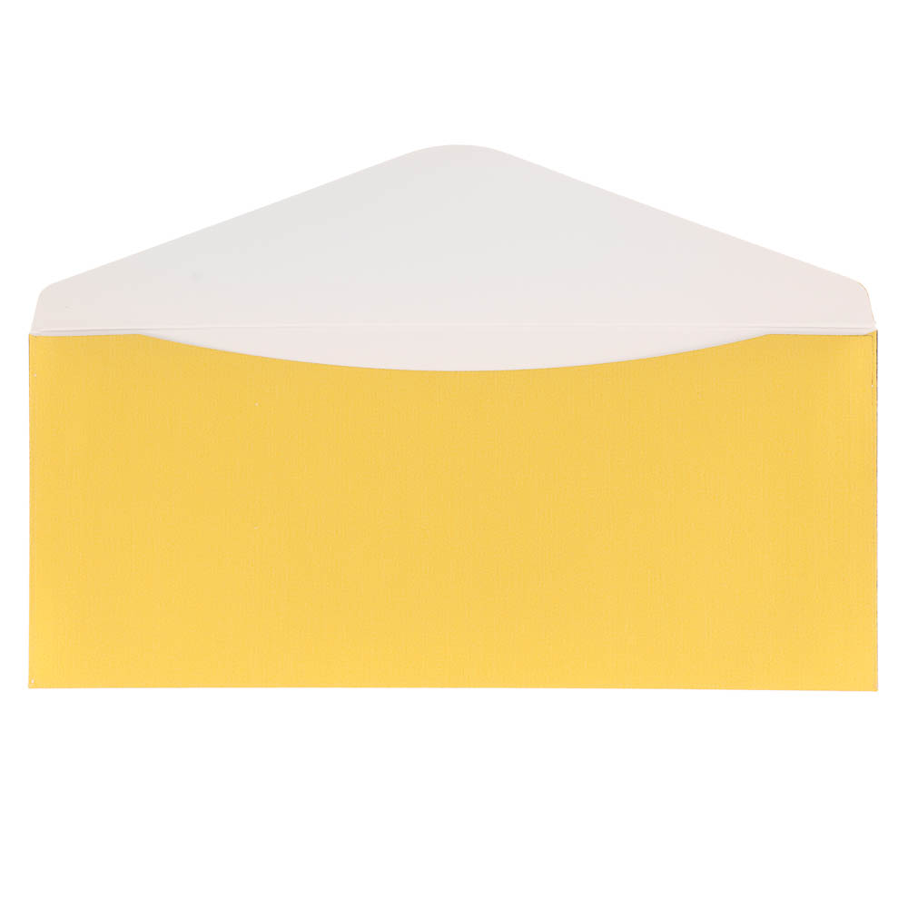 Набор конвертов 10 шт, микс цветов, 8х16,5см, бумага, арт.2 - #21