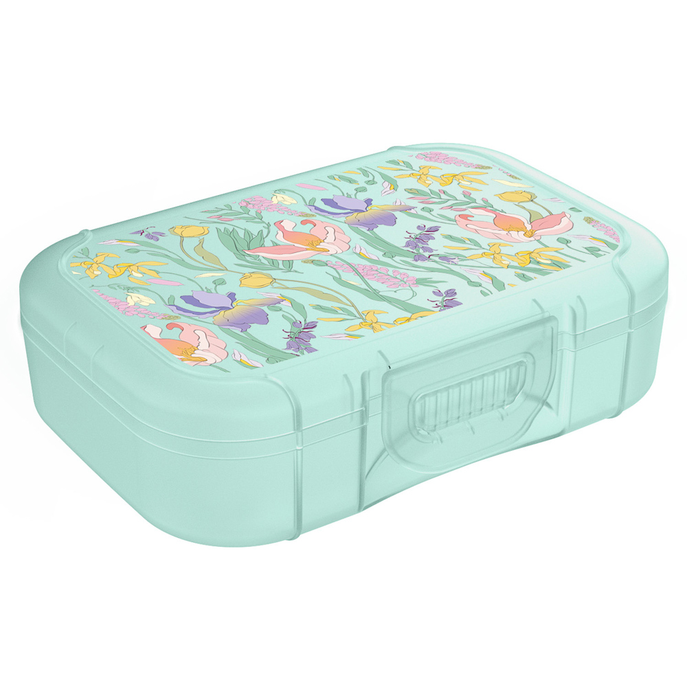 Ботаника Ланч-бокс 0,85л (18х12,5х5,5см), пластик, 3 цвета - #4