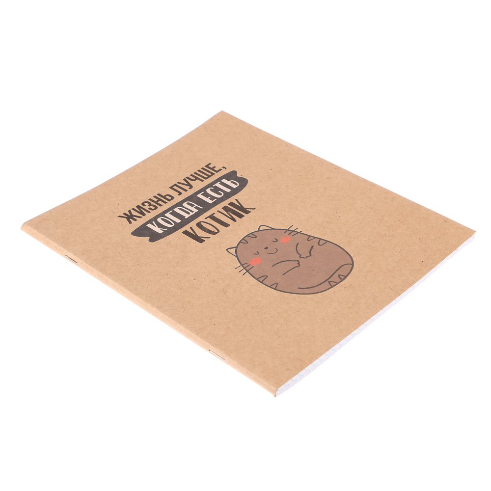 ClipStudio Тетрадь 48л. в клетку, офсет, обл. мел.картон, скрепка, крафт, 4 диз. - #3