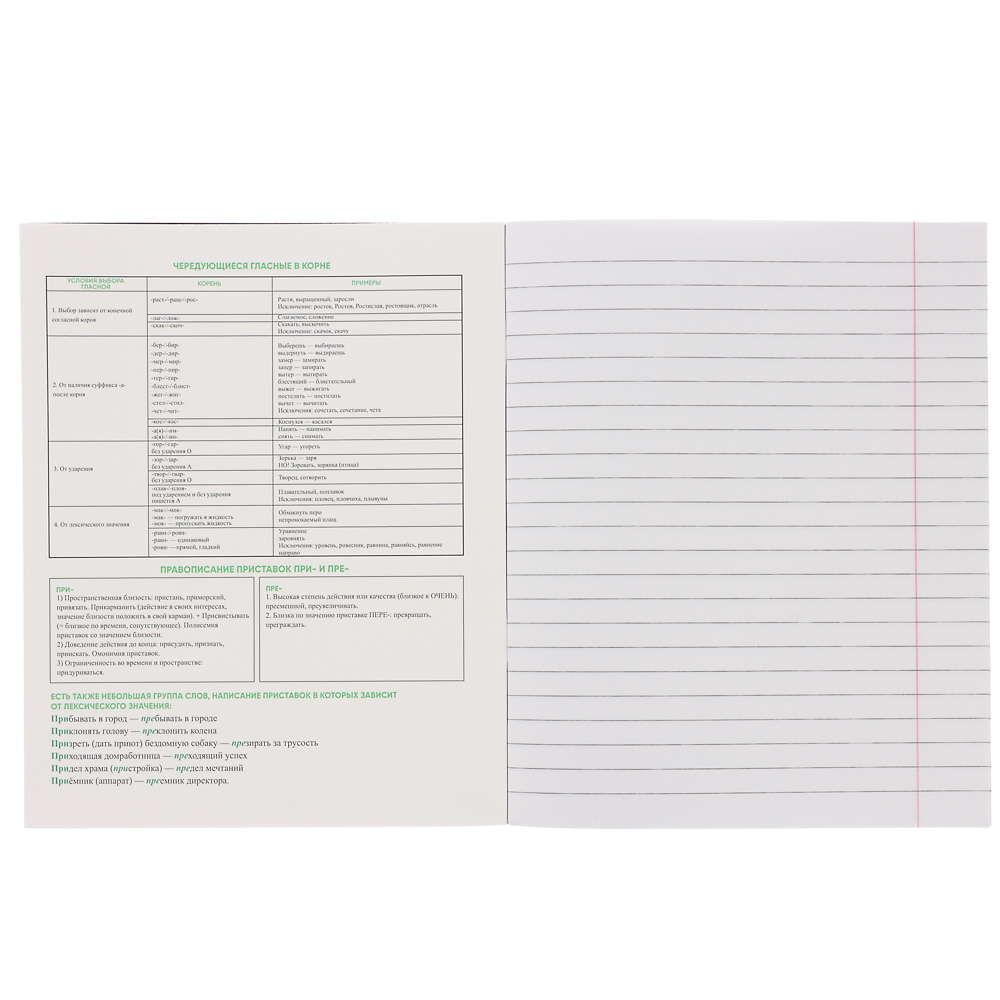 ClipStudio Тетрадь 48л. "Предметная", БЕЛЫЕ ЛИСТЫ, обл.картон, скрепка, 7 видов, справ.мат-л - #3