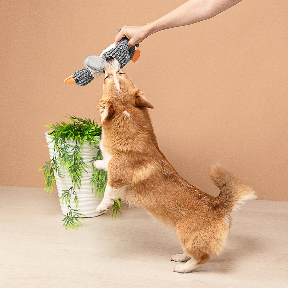 VETTA Игрушка для домашних животных, ПЭ, 32,5х13,5 см, утка - #11