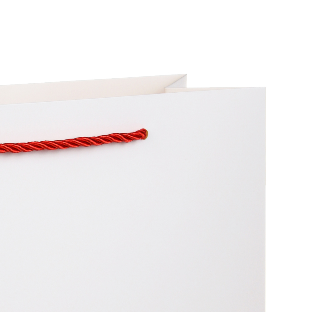 Пакет подарочный бумажный тм LADECOR L 26x32x10 см, 4 дизайна - #3