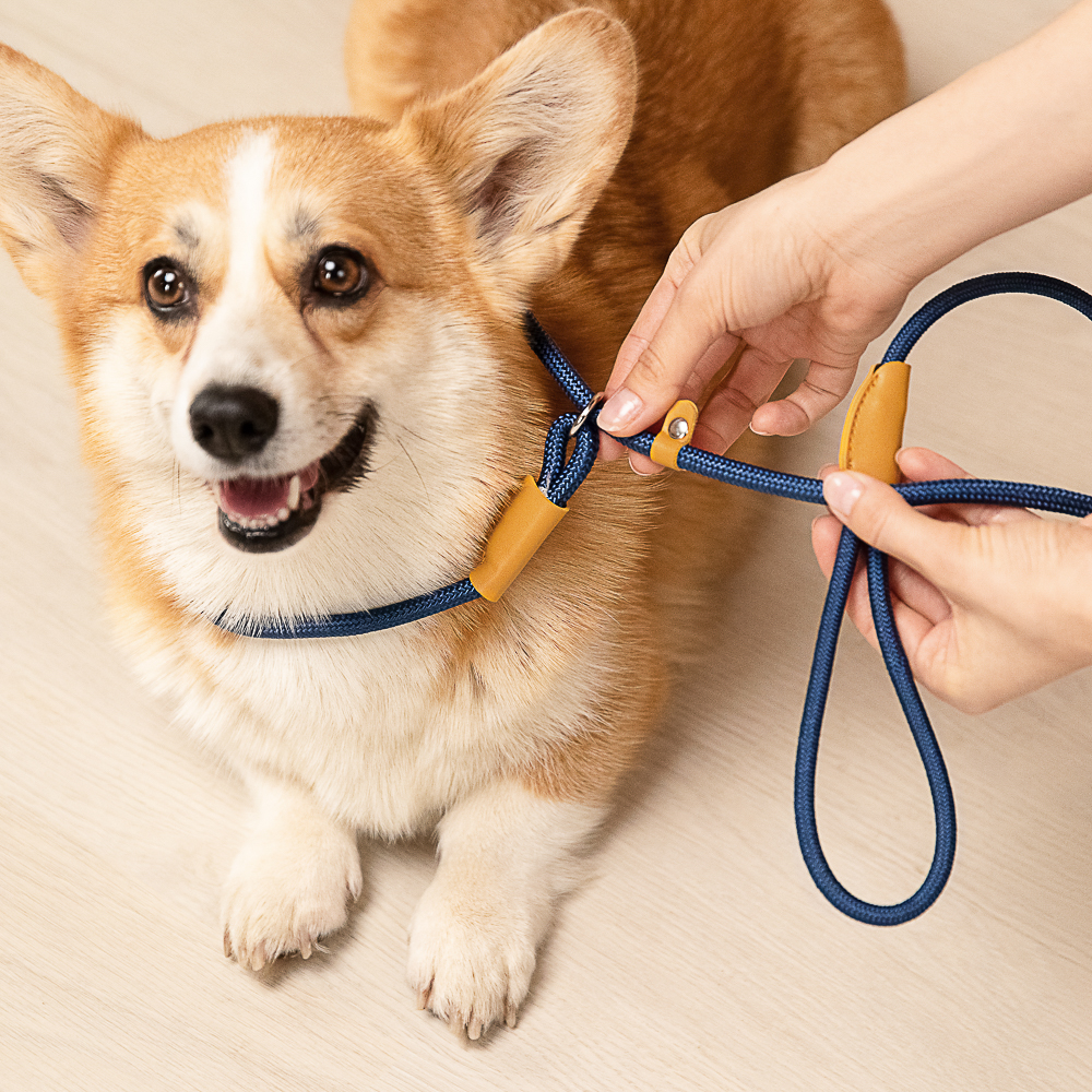 VETTA Поводок для домашних животных, нейлон, 150 см - #15