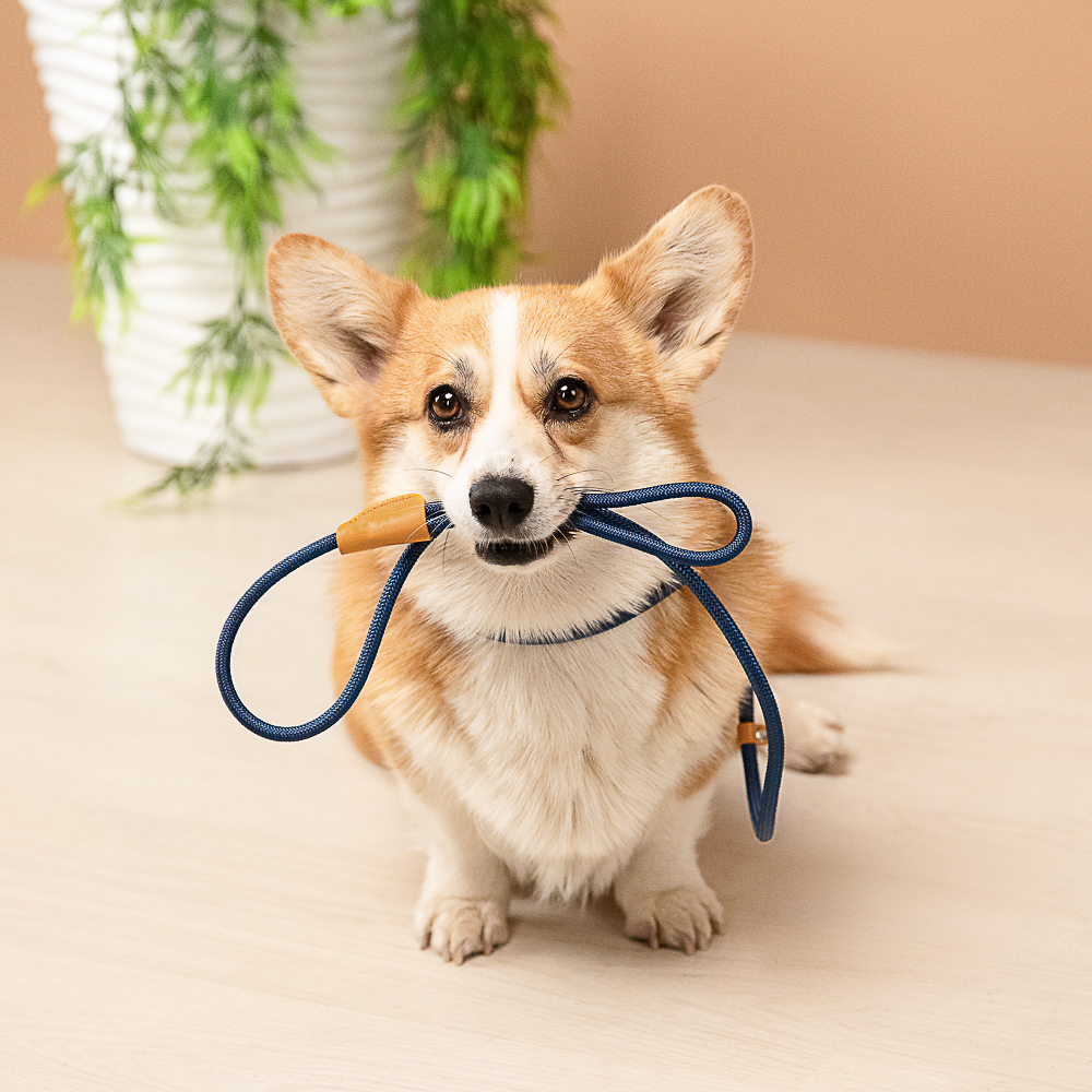 VETTA Поводок для домашних животных, нейлон, 150 см - #16