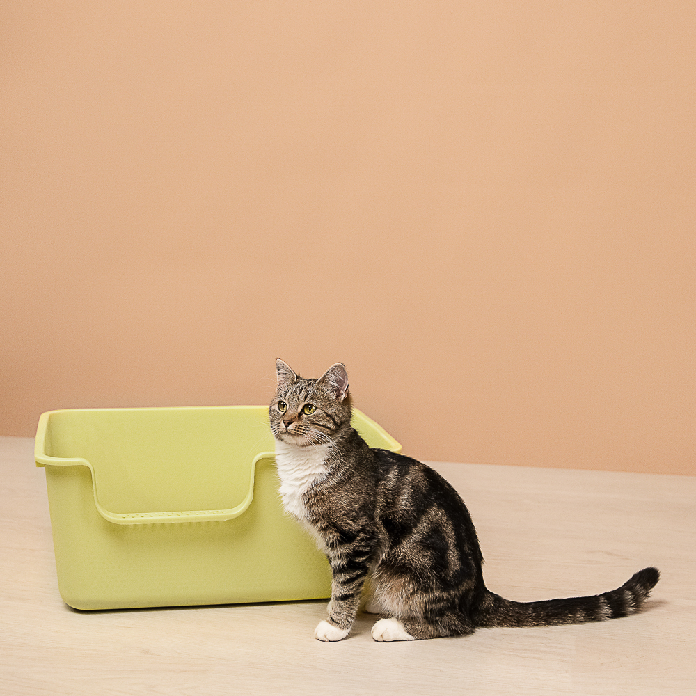 VETTA Лоток для домашних животных, пластмасса, 50х38,5х21,5 см - #5
