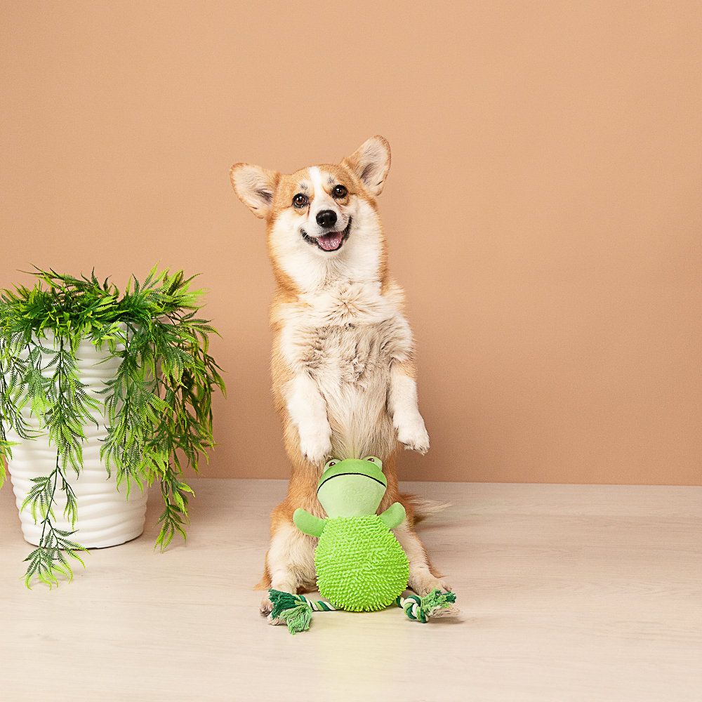 VETTA Игрушка для домашних животных, ПЭ, 21,5х11 см, лягушка - #14