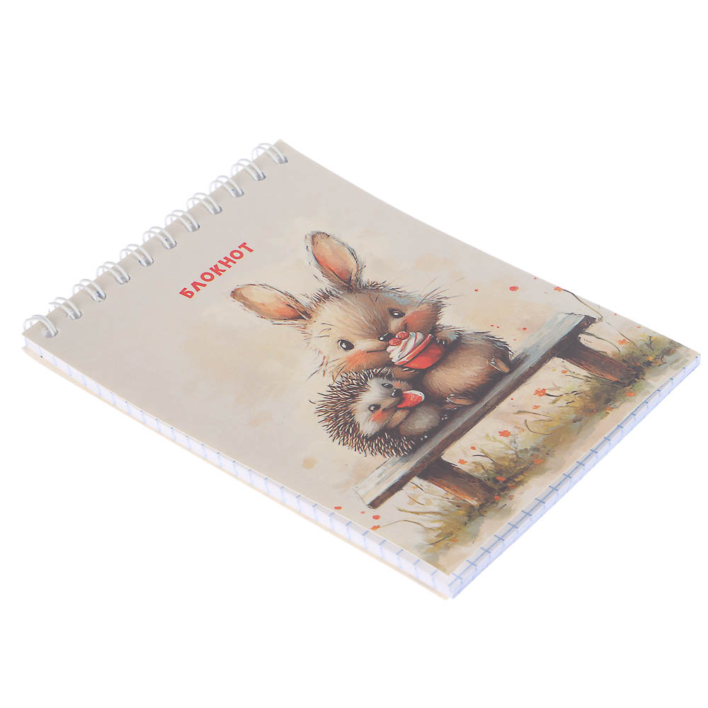 Блокнот А6, 40л., офсет, обложка картон, спираль, в клетку, 9 диз. - #3