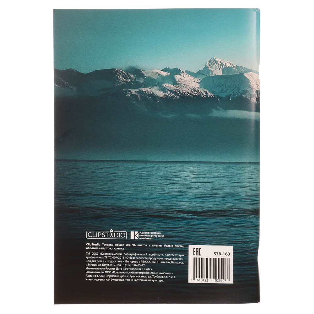 ClipStudio Тетрадь общая А4, 96 листов, в клетку, БЕЛЫЕ ЛИСТЫ, обложка картон, скрепка, 4 диз - #5