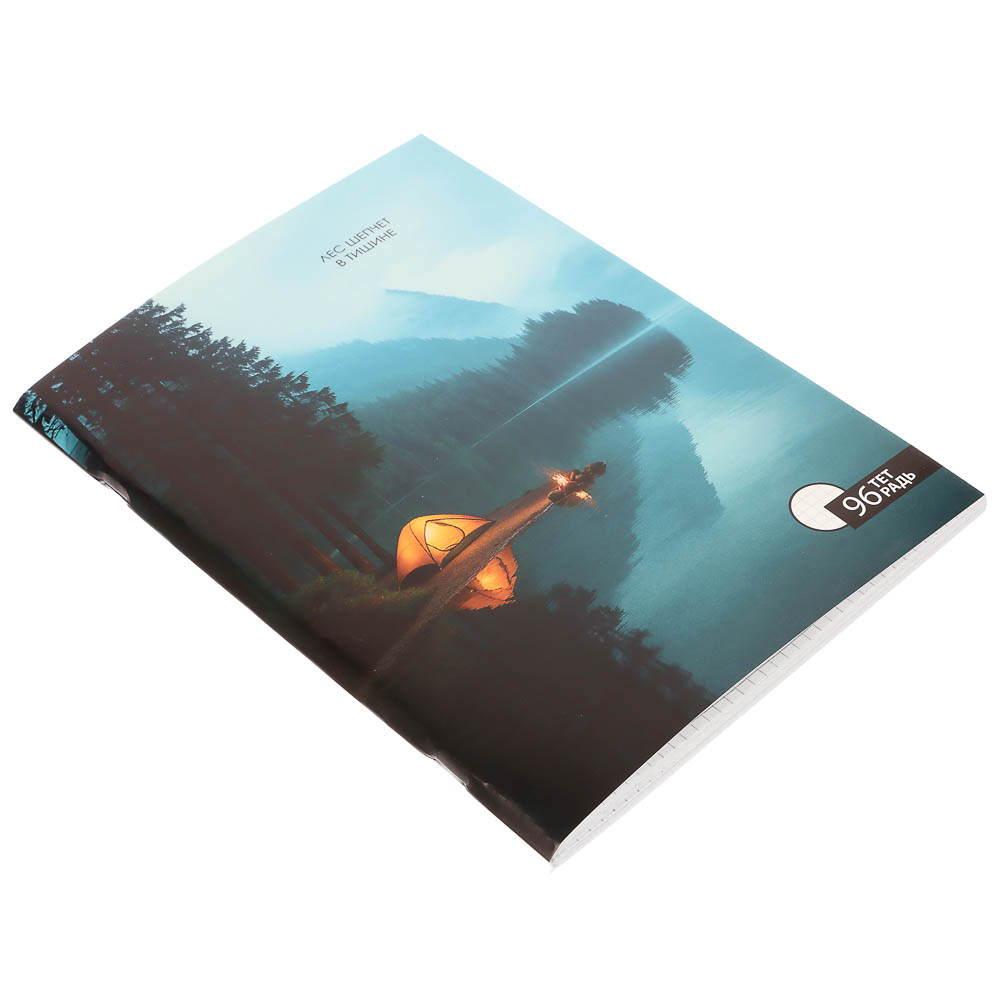 ClipStudio Тетрадь общая А4, 96 листов, в клетку, БЕЛЫЕ ЛИСТЫ, обложка картон, скрепка, 4 диз - #10