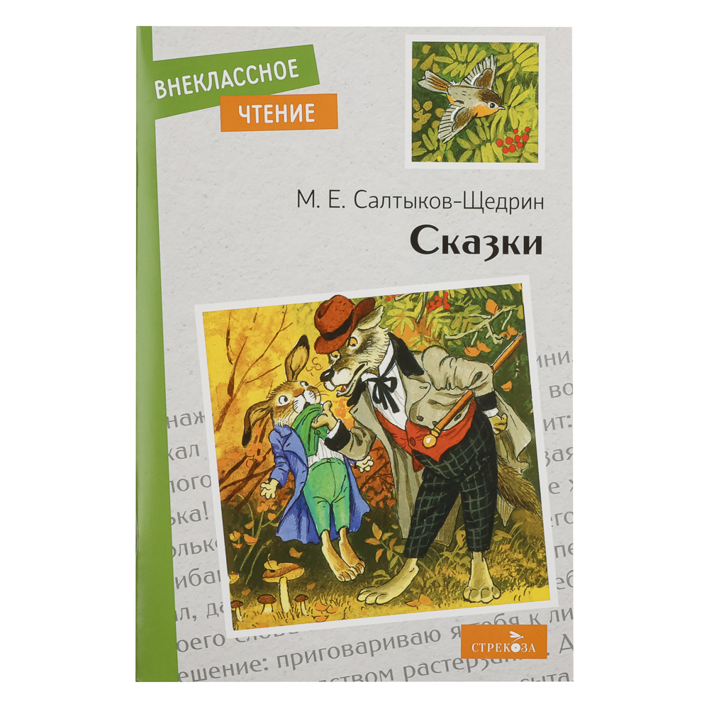 Книжка "Внеклассное чтение", мягкий переплет, 13,8х21см, 60-80 стр., 5 дизайнов - #5