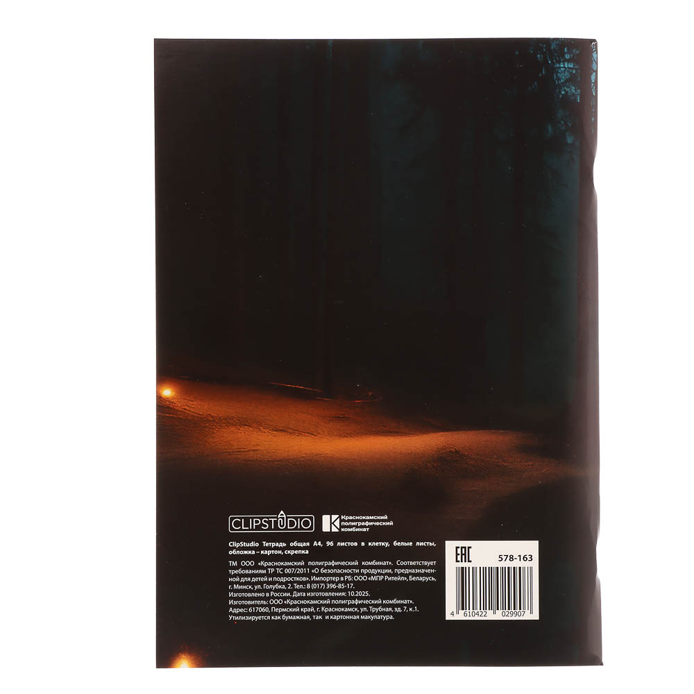 ClipStudio Тетрадь общая А4, 96 листов, в клетку, БЕЛЫЕ ЛИСТЫ, обложка картон, скрепка, 4 диз - #11