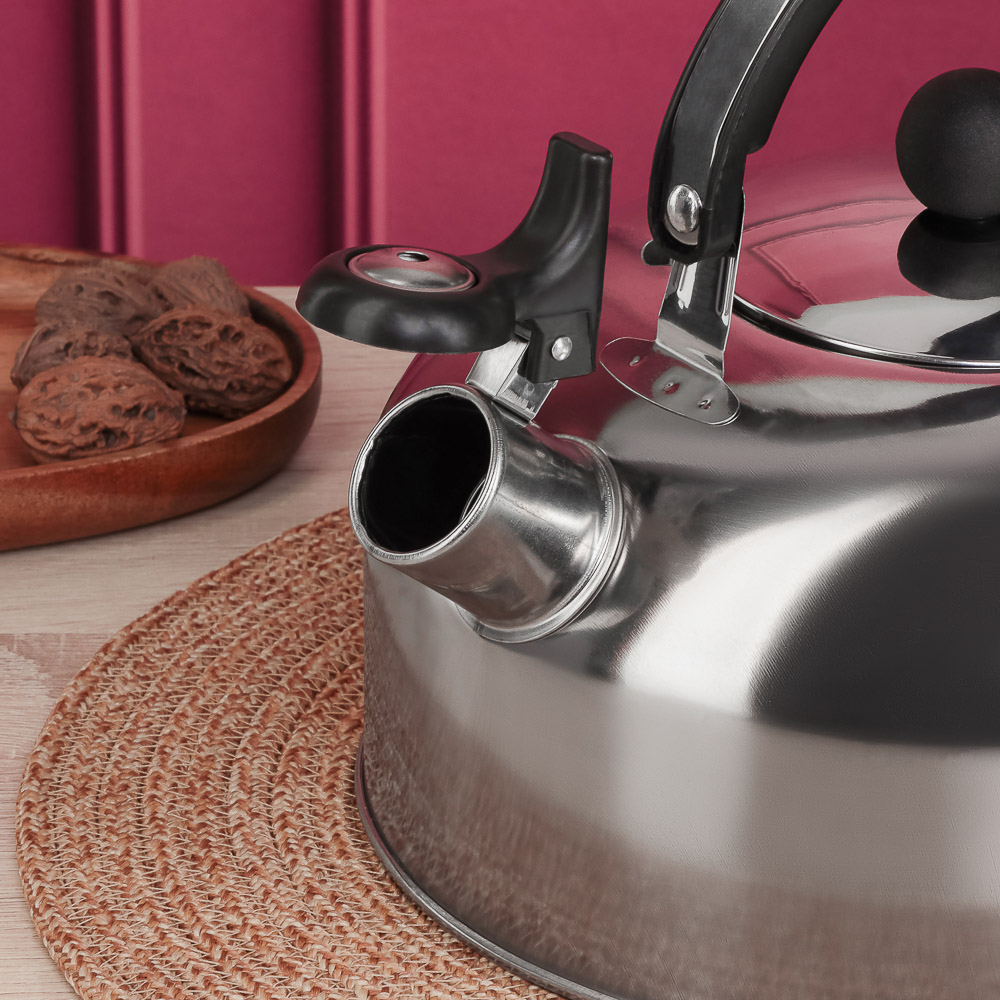 Чайник стальной 2,5л индукция - #9