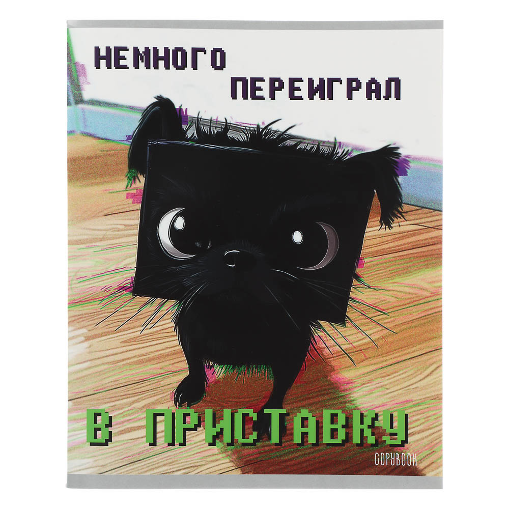 Тетрадь 48 л., А5, в клетку, БЕЛЫЕ ЛИСТЫ, обложка картон, скрепка, ВД-лак - #6