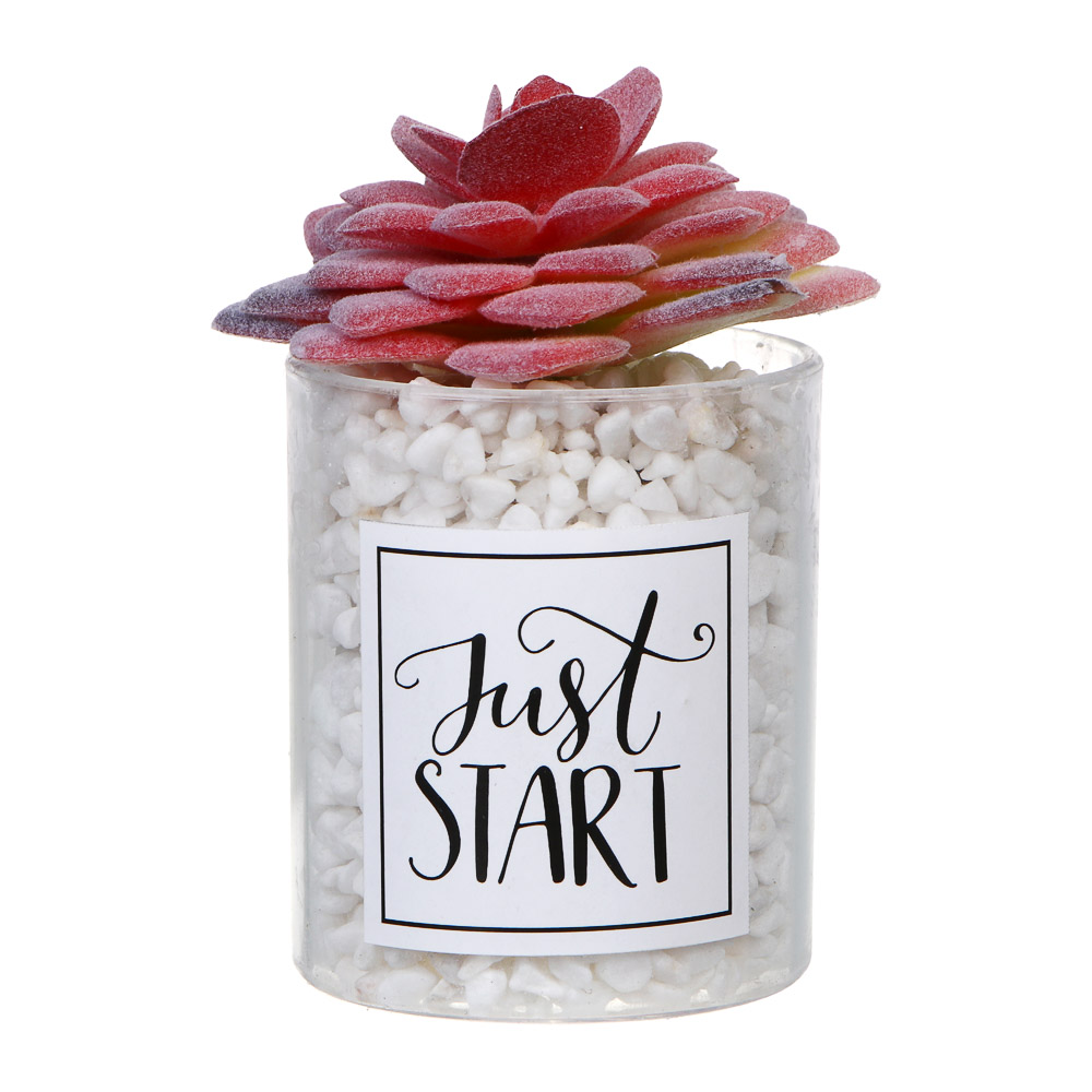 LADECOR Суккулент искусственный, 5х9-11 см, пластик, 3 дизайна - #5