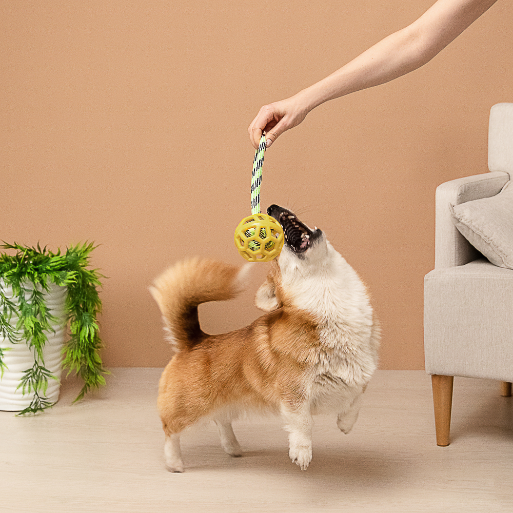 VETTA Игрушка для домашних животных, грейфер, хлопок, ТПР, 26х9х1 см - #10