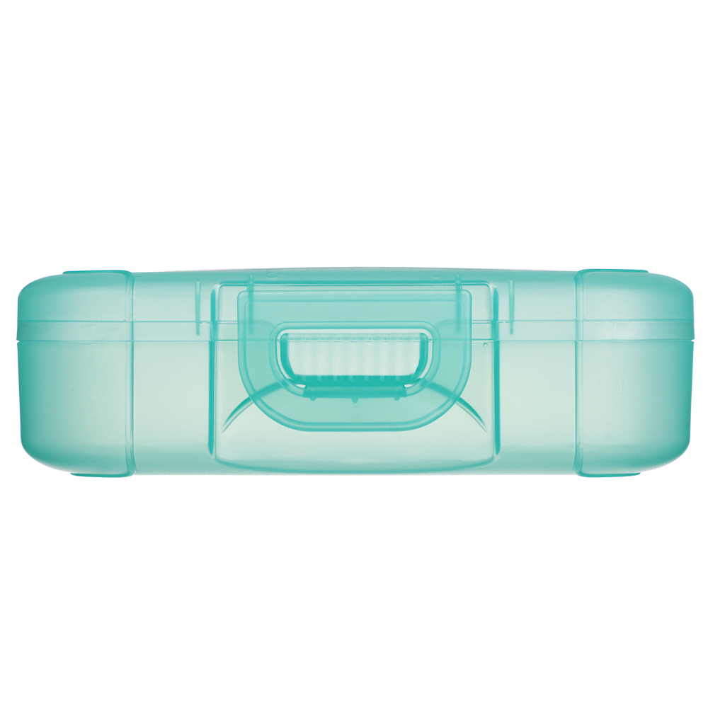 Ботаника Ланч-бокс 0,85л (18х12,5х5,5см), пластик, в ассортименте - #4