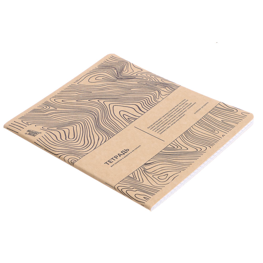 Тетрадь общая Русские Супергерои, формат А5, 48л. в клетку, на скобе, скругленные углы, в ассортим. - #13